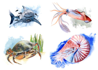 The animal world of the seas and oceans. A set of watercolor illustrations