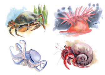 The animal world of the seas and oceans. A set of watercolor illustrations