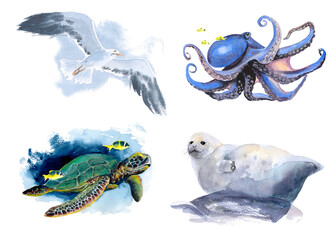 The animal world of the seas and oceans. A set of watercolor illustrations