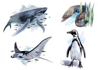 The animal world of the seas and oceans. A set of watercolor illustrations