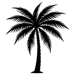 Obraz premium palm tree silhouette