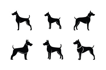 Black Labrador Retriever Dog Breed Vector Bold 27