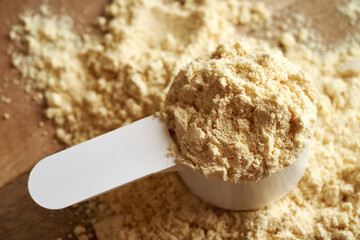 A scoop of whey protein powder