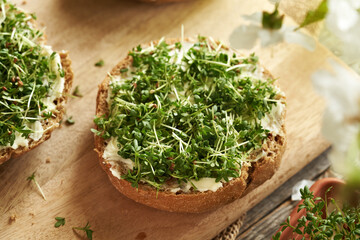 Fresh homegrown garden cress sprouts or microgreens on a slice of bun