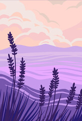Field lavanda vector illustration. Landscape lavanda art.
