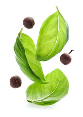Basil leaves with allspice on white background
