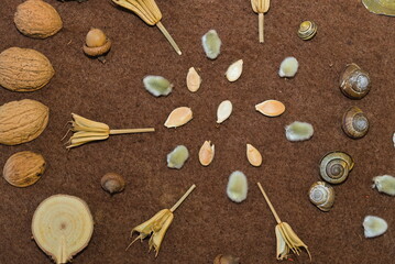 brauner Hintergrund mit Naturmaterialien