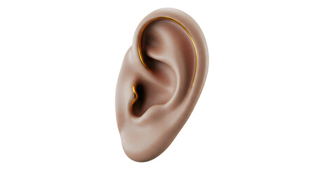 Isolated Ear with Golden Earring