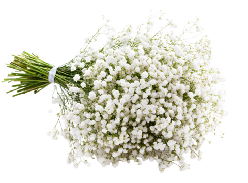 A lush bouquet of delicate white flowers arranged beautifully, set against a soft, blurred green background, ideal for celebrations