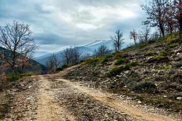 Camino del Cerrón