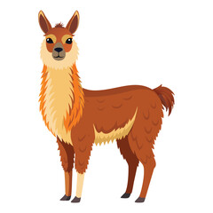 Obraz premium Llama Vector 