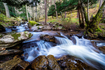 Primavera en el arroyo