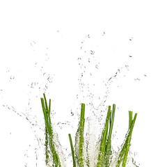 Fresh green herbs splashing in water, creating dynamic motion, against a black background, ideal for culinary themes