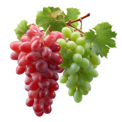 Obraz premium Red and green grape clusters with leaves isolated on transparent background. isolated white background