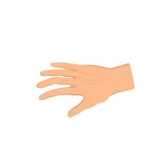 illustration of human hand without background