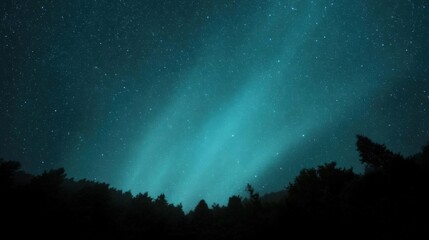 Night sky filled with stars. the sky is a deep blue color and the stars are scattered across it.