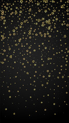 Gold sparkling star confetti.