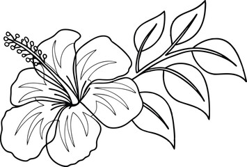 Black And White Hibiscus Flower With Leaves Outlined For Coloring Books And Designs