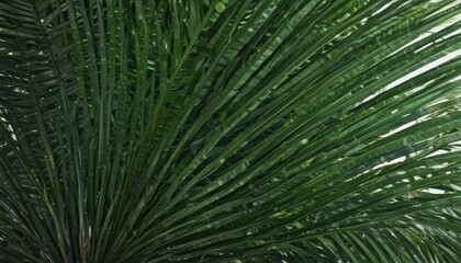 Emerald green palm frond, intricate veins, lush texture,  wallpaper,  paradise
