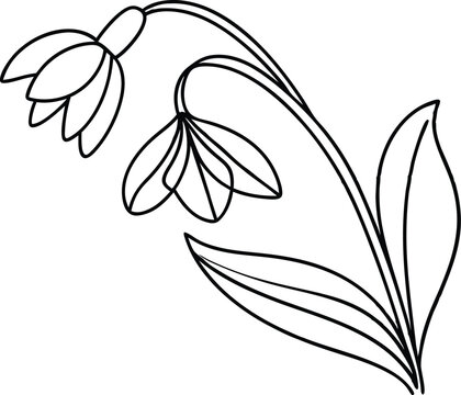 recommend clip art: Snowdrop Flower Line Art Minimalist Spring Floral Design Element Illustration