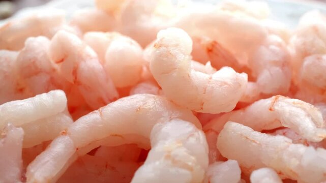 fresh shrimp in a bowl  rotating ground