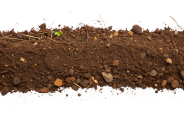 humus soil bottom border pile isolated on white or transparent png
