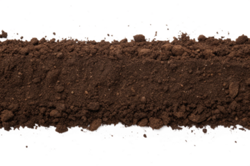 humus soil bottom border pile isolated on white or transparent png

