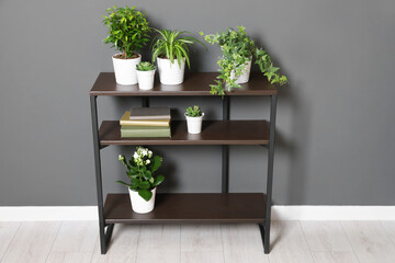 Many beautiful houseplants on shelving unit near grey wall