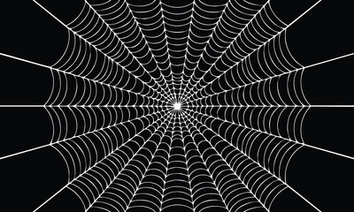 Fototapeta premium Rotten Spider Web Vector Illustration