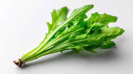 Obraz premium Fresh arugula leaves with vibrant green color, showcasing their unique shape and texture on plain white surface, evoke sense of freshness and healthiness