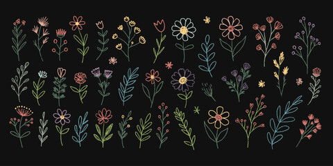 Hand-Drawn Set of Various Colorful Floral and Leaf Illustrations