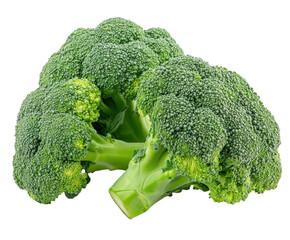 Fresh broccoli harvest farm food natural isolated on transparent background
