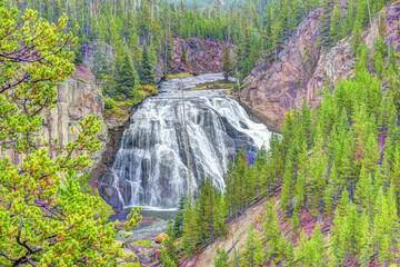 Gibbon Falls Waterfall Yellowstone National Park. Gibbon River Waterfalls, Yellowstone Caldera Rim, Madison Junction, Wyoming