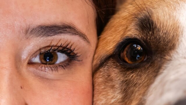 Woman and dog sharing a moment of affection: close-up of eyes reflecting love and companionship