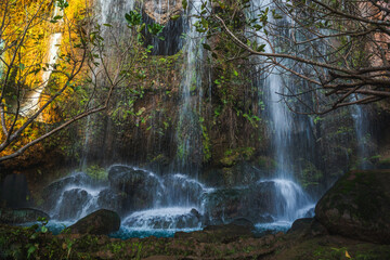 waterfall in the forest