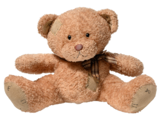Brown teddy bear sitting on isolated background, children's toy