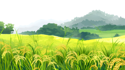 Scenic View of Lush Rice Fields Ready for Harvesting in Countryside Landscape