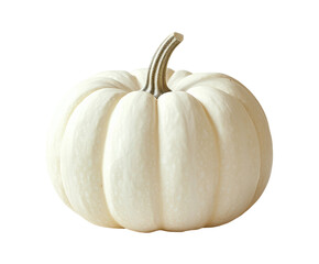 White pumpkin display for fall indoors aesthetic isolated on transparent background