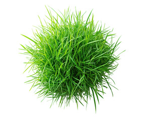 Lush green grass ball nature plant top view isolated on transparent background