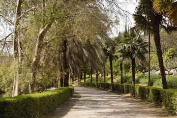 Obraz premium JARDIN BOTANICO LA CONCEPCION. MÁLAGA.