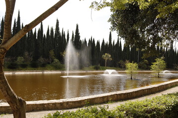 JARDIN BOTANICO LA CONCEPCION. MÁLAGA.