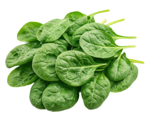 Fresh spinach leaves market stand food natural light isolated on transparent background
