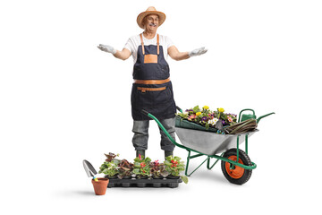 Happy mature gardener posing with wheelbarrow and plants