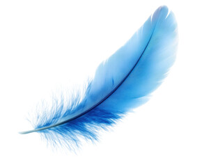 Delicate blue feather nature artistic soft light isolated on transparent background