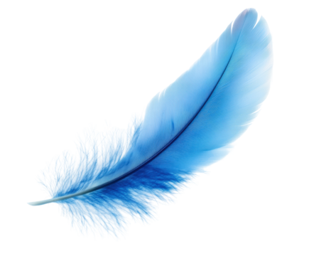 Delicate blue feather nature artistic soft light isolated on transparent background