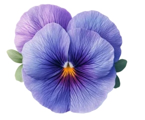 Fotobehang Viooltje Vibrant purple pansy flower nature botanical isolated on transparent background  © Luminara
