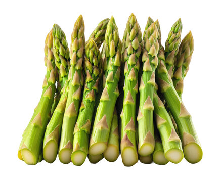 Harvesting fresh asparagus bundles organic farm food isolated on transparent background