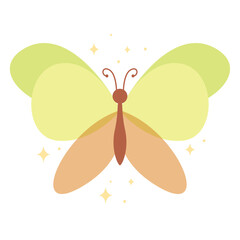 Colored butterfly wings. Vector