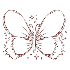 Butterfly line art style. Vector