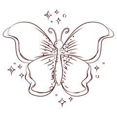 Butterfly line art style. Vector